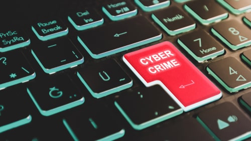Will County Cyber Fraud Lawyer
